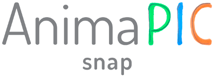 Animapic-snap